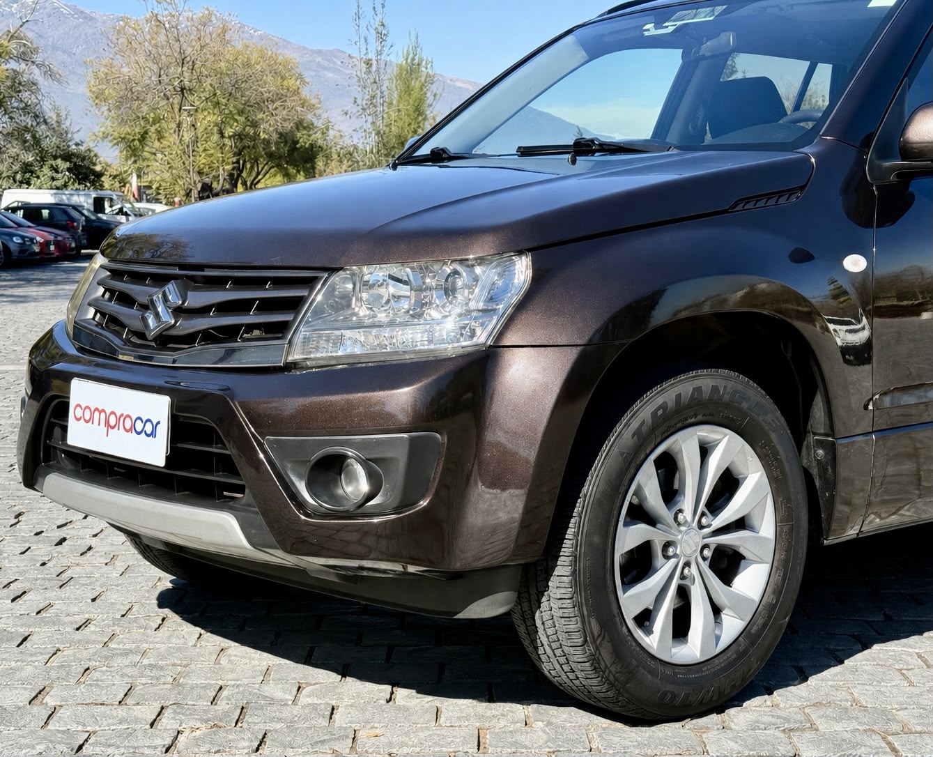 Suzuki Grand Nomade — foto 7 de 15